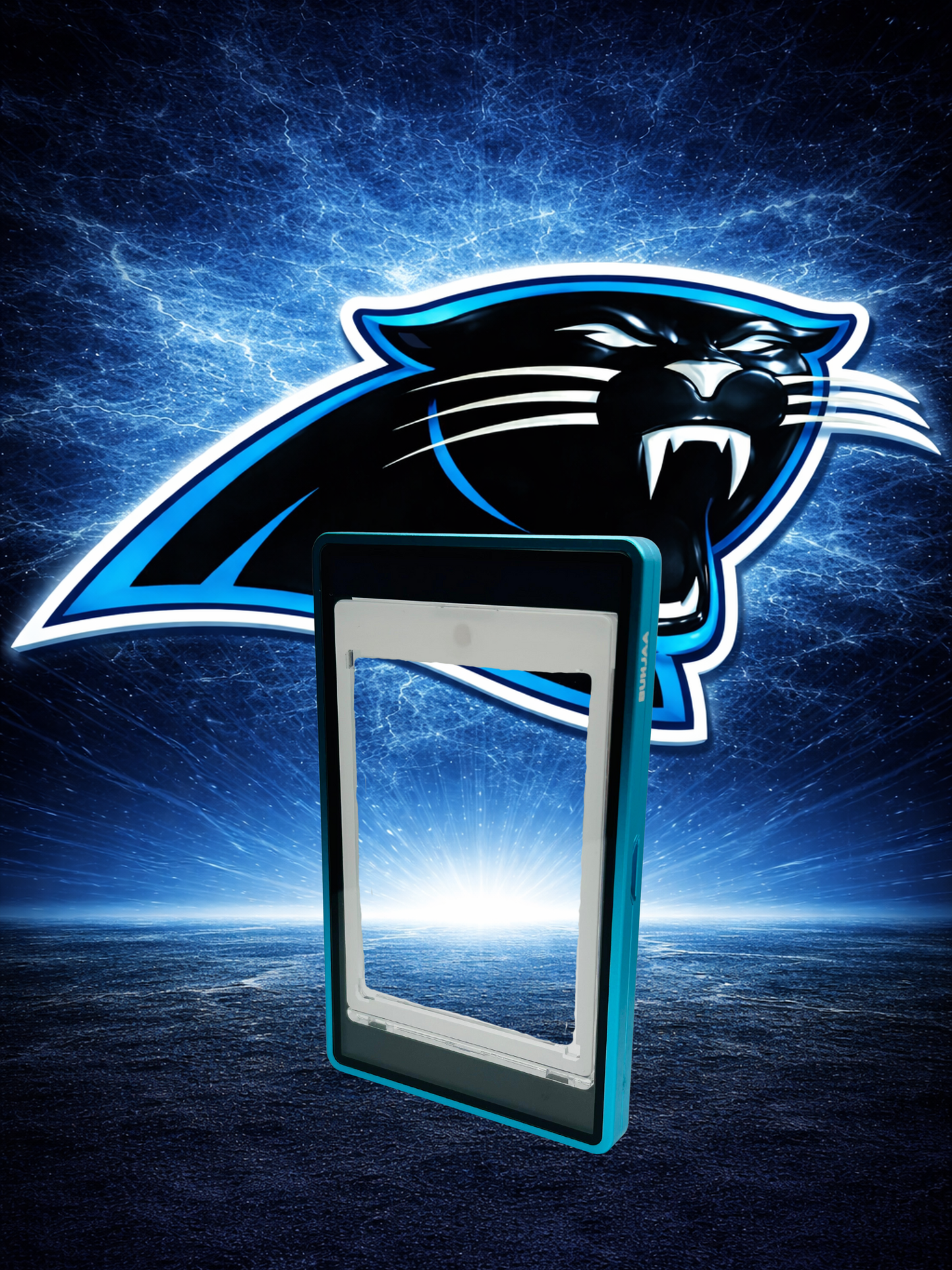 Carolina Panthers Bundle